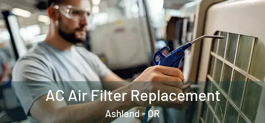 AC Air Filter Replacement Ashland - OR