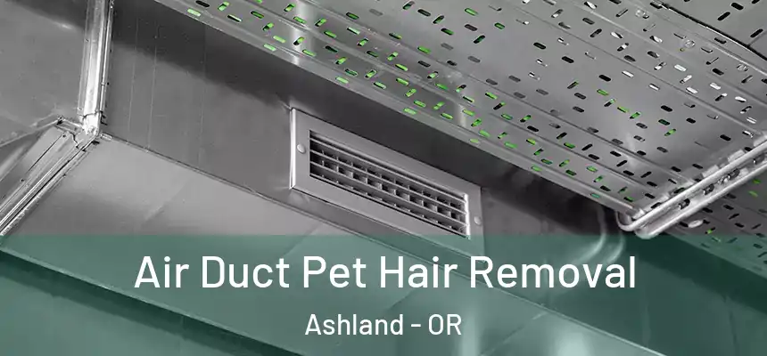  Air Duct Pet Hair Removal Ashland - OR
