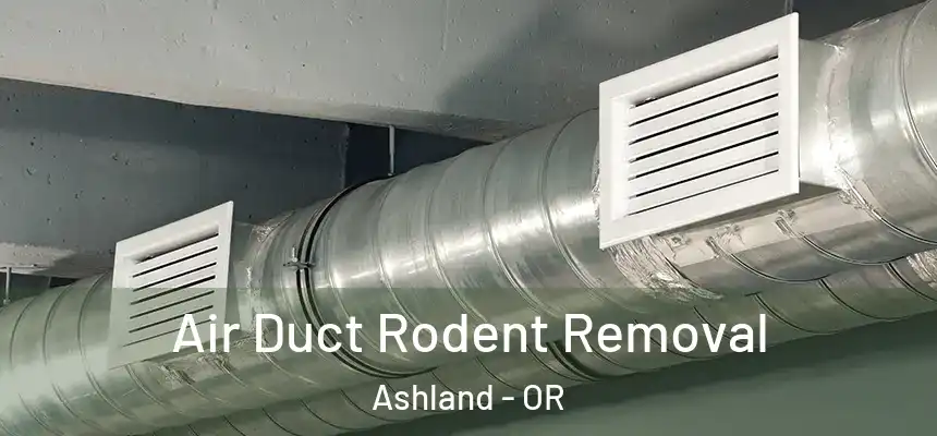  Air Duct Rodent Removal Ashland - OR