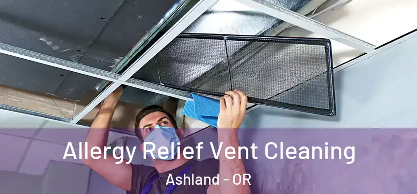  Allergy Relief Vent Cleaning Ashland - OR