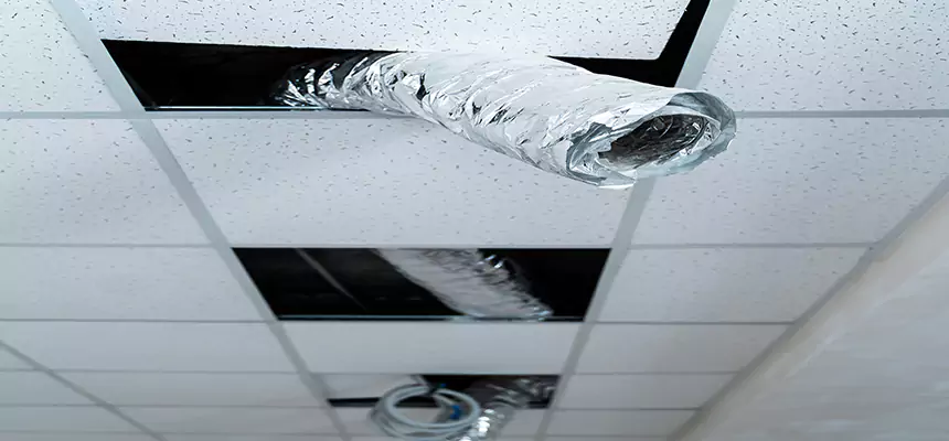 Our Air Duct Pet Hair Removal Services in Ashland, OR