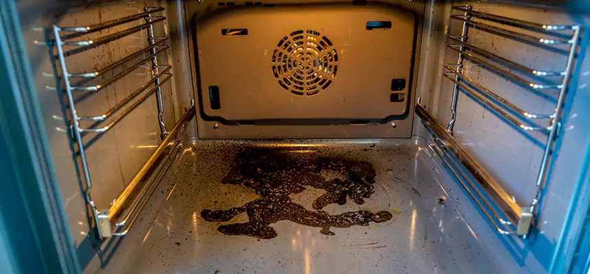 Our Dryer Vent Mold Cleaning Services in Ashland, OR