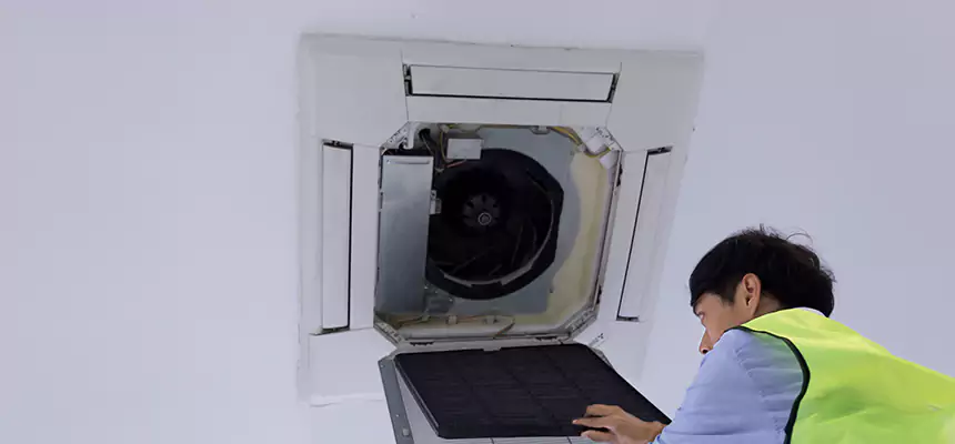 Our Dryer Vent Sanitization Service Services in Ashland, OR