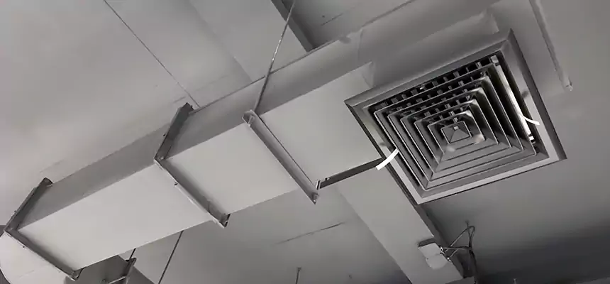 Our Pest Removal From Ducts Services in Ashland, OR