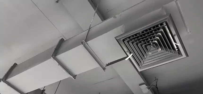 Our Rodent Droppings In Vents Services in Ashland, OR