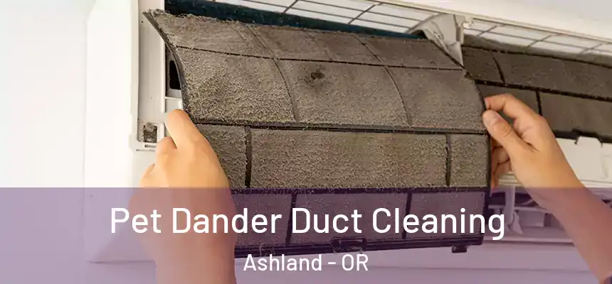  Pet Dander Duct Cleaning Ashland - OR