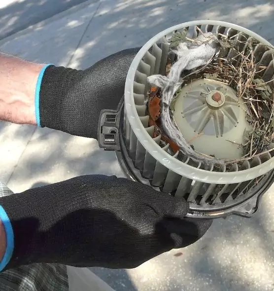 About Air Duct Mice Removal in Ashland, OR