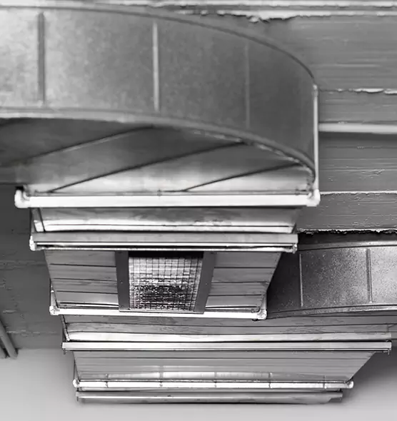 Professional Air Duct Pest Removal in Ashland, OR