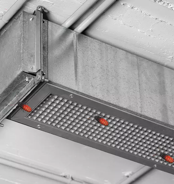 Affordable Insect Removal from Air Ducts in Ashland, OR